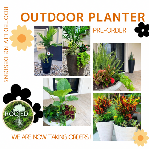 Outdoor Planters Order