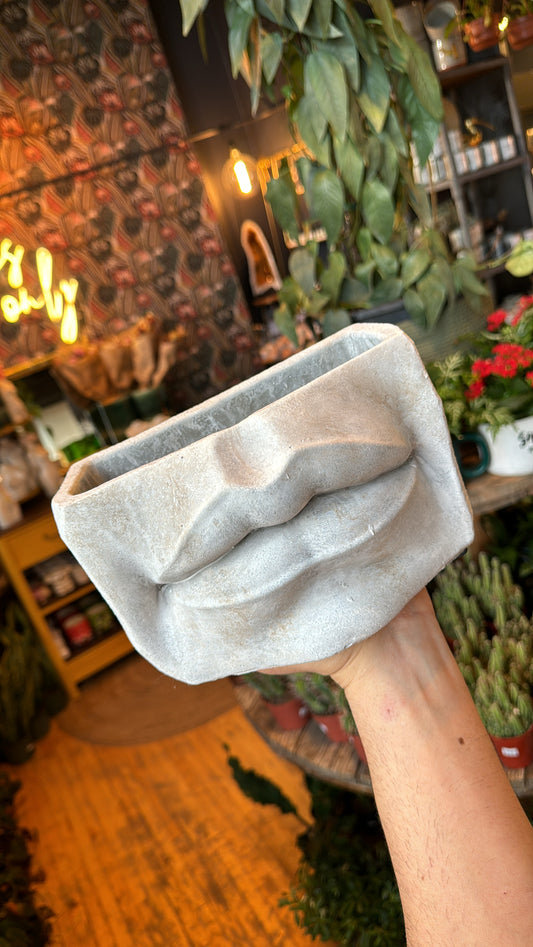 XL Wide Lips Planter