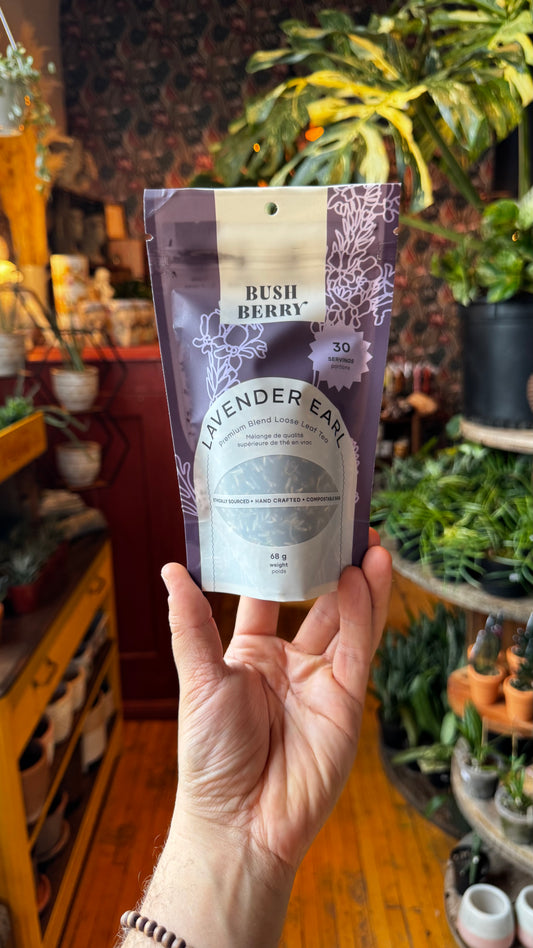 Bush Berry Tea - Lavender Earl