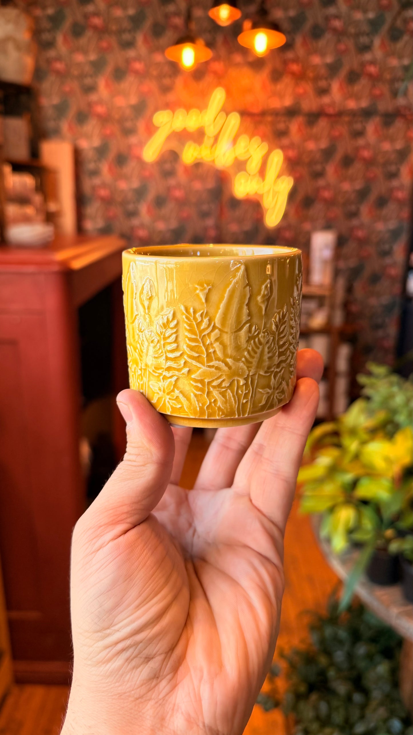 2.5” Yellow Jungle Dreams Planter