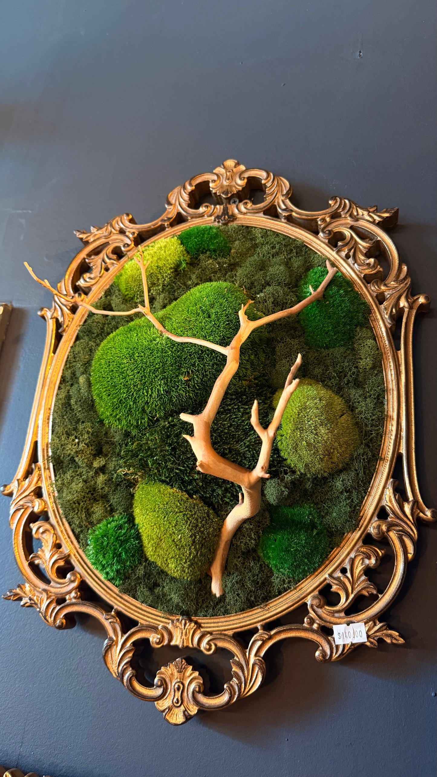 Large ‘Gigas’ Moss Art