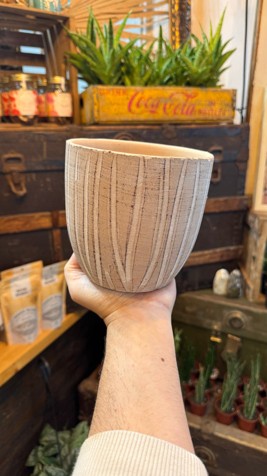 5” Birch Forest Planter