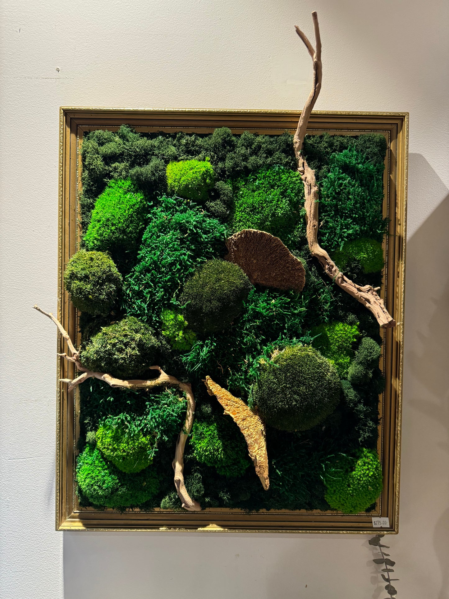 ‘Ika’ Moss Art Frame