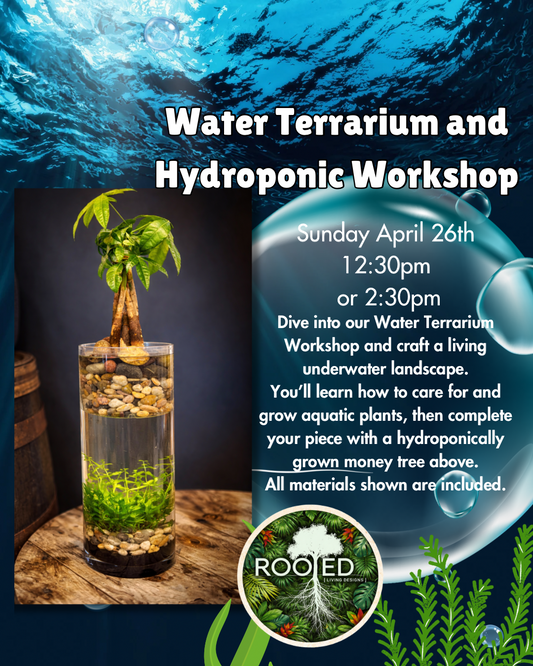 Water Terrarium and Hydroponic Workshop