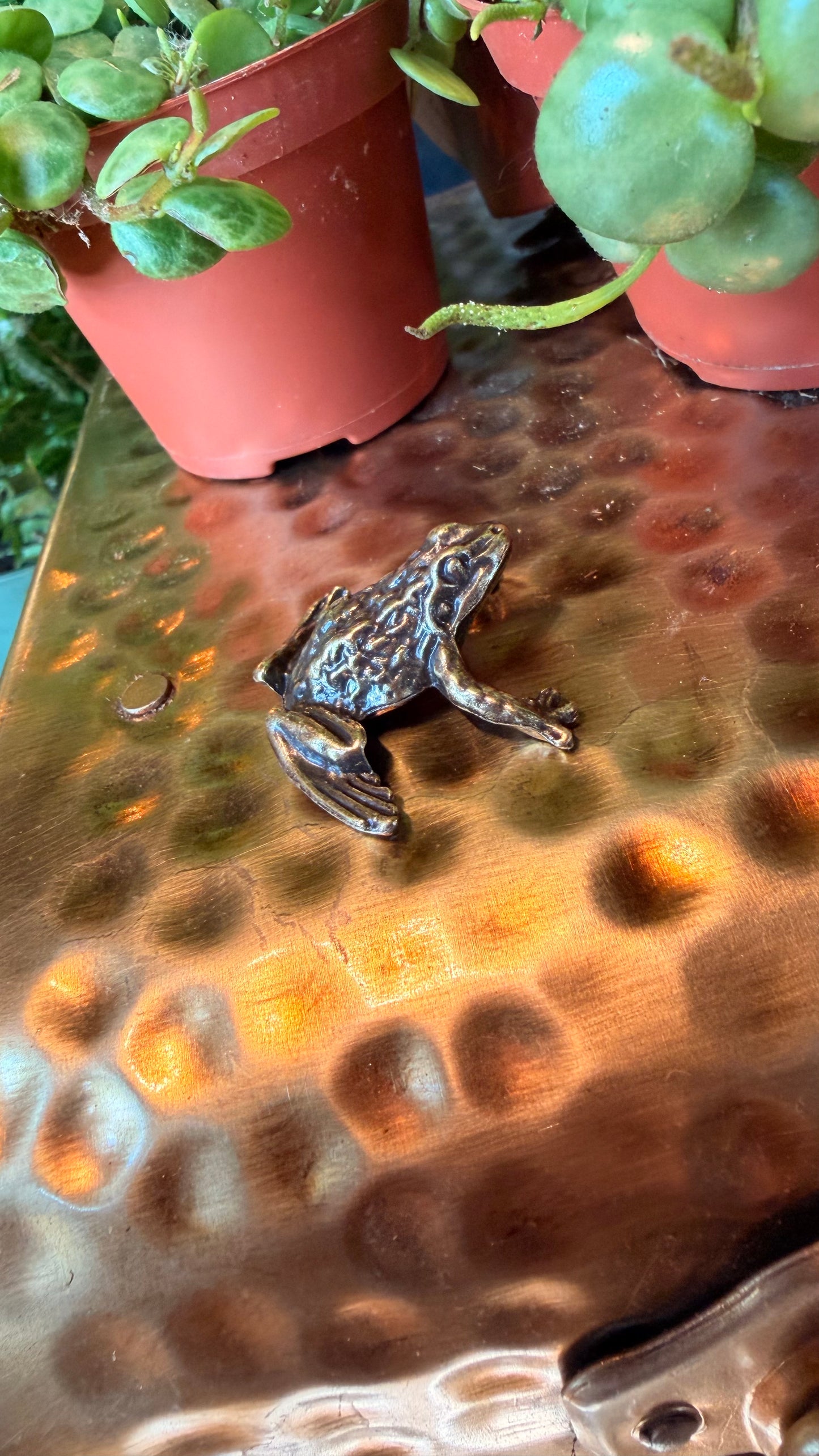 Filipe the Frog Brass Figurine