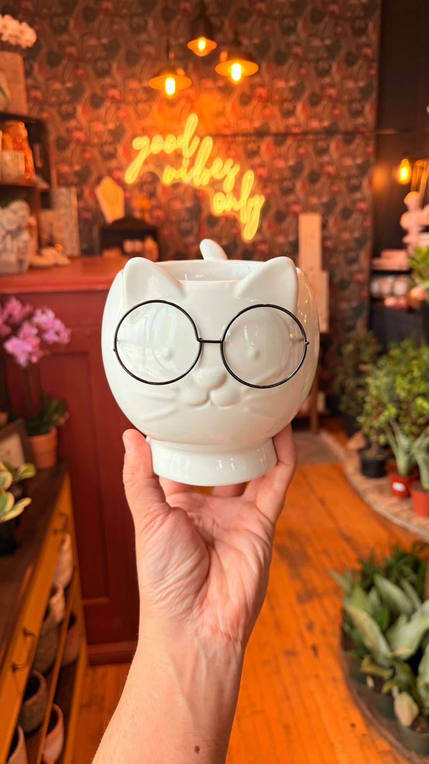 4” Kitty Cat With Glasses Planter