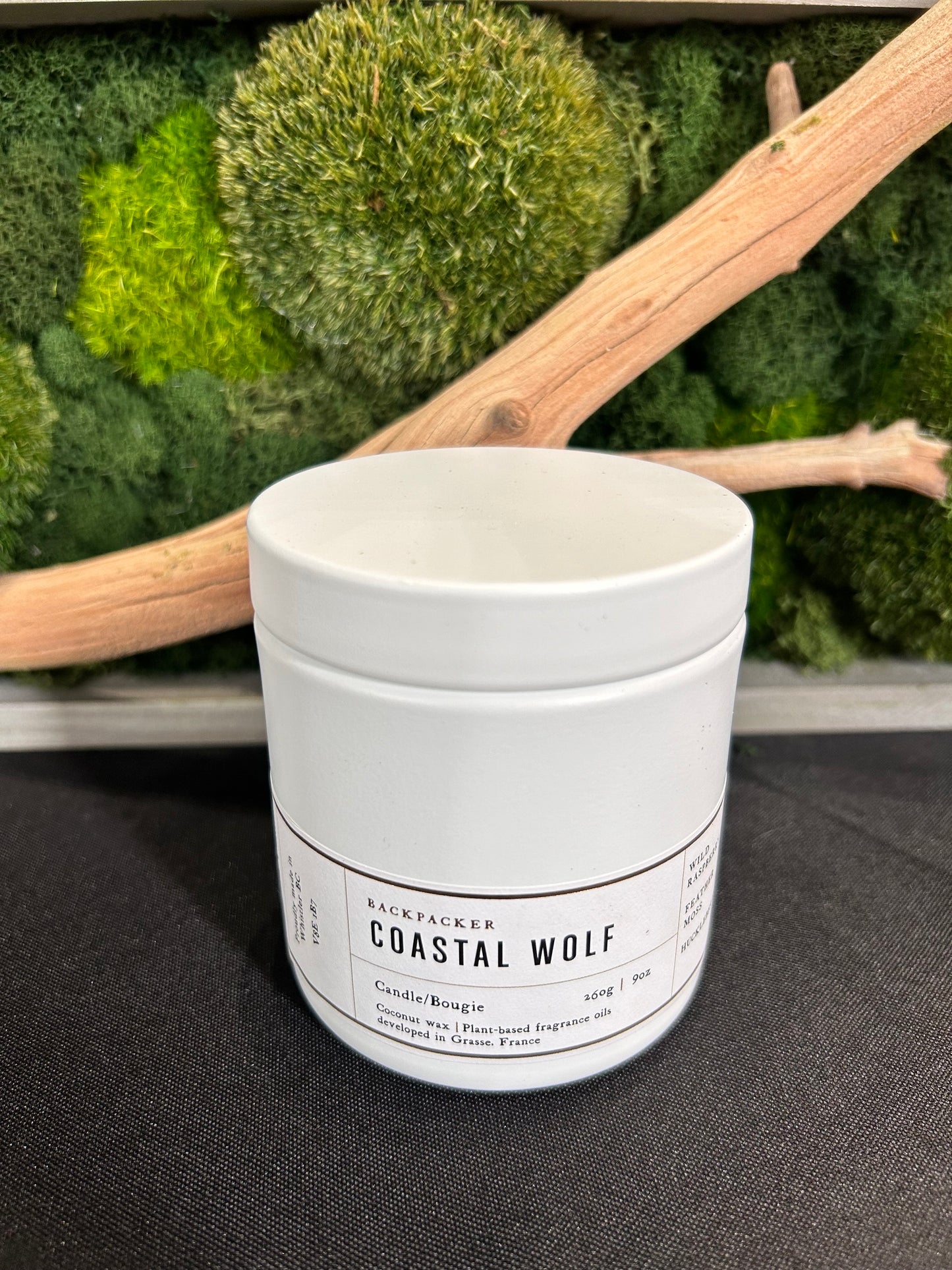 Hollow Tree Costal Wolf Candle