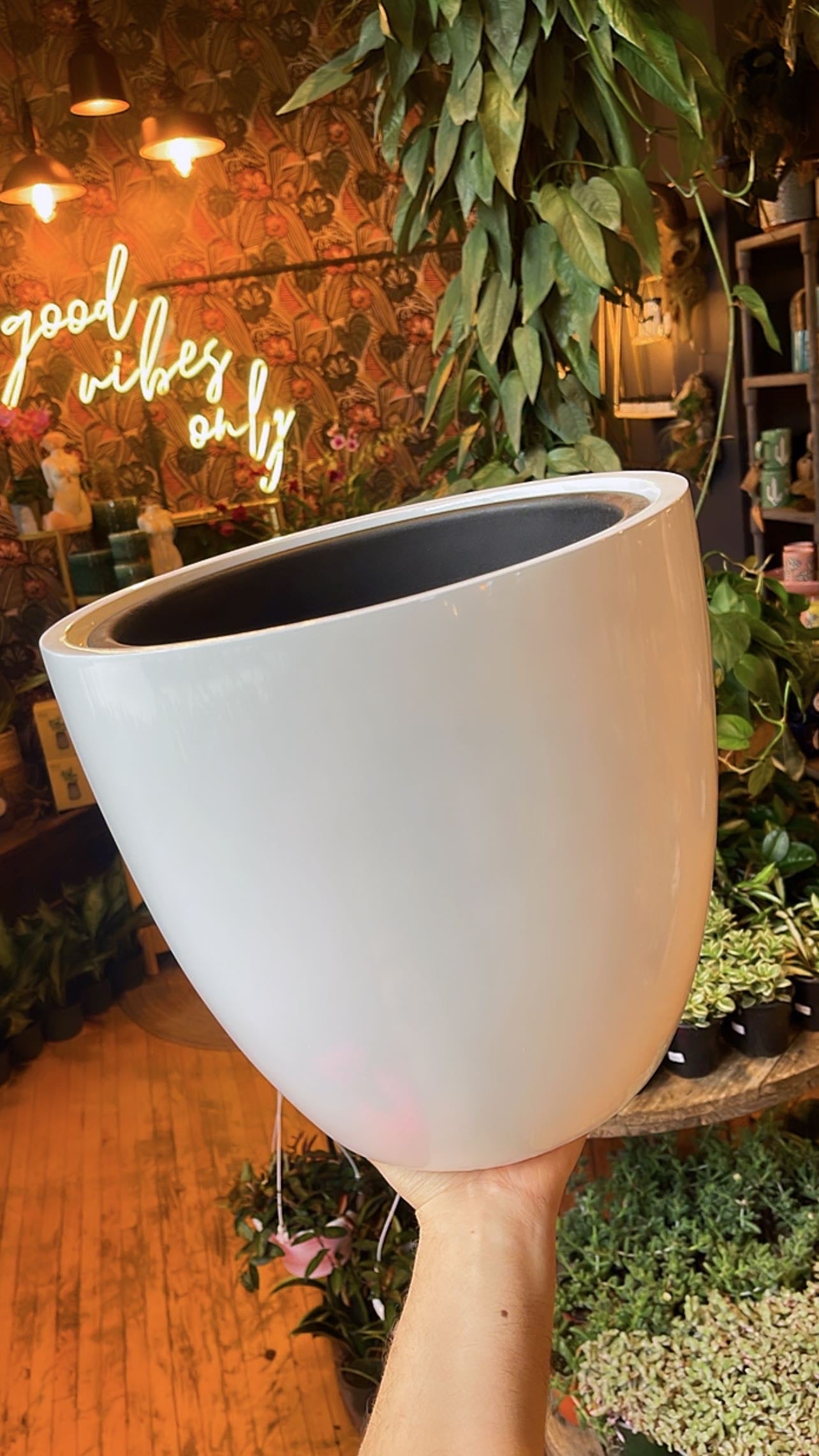 11” Tapered White Gloss Planter