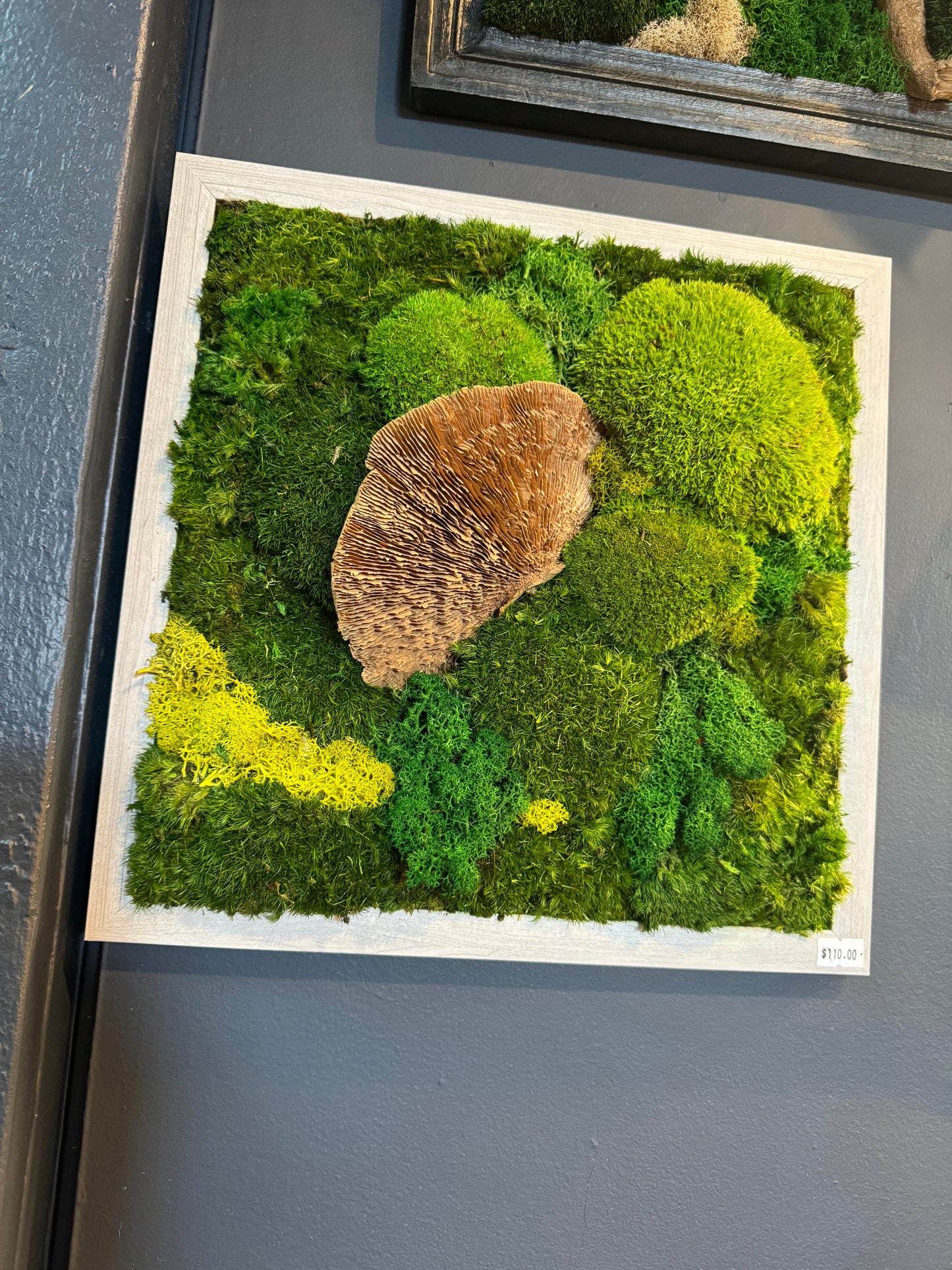 ‘Hedra’ Moss Art Frame