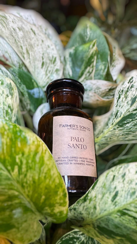 Farmer’s Son Co. - Palo Santo Charcoal Incense Cones