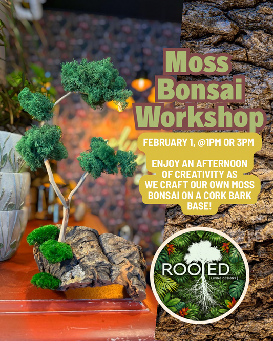 Moss Bonsai Workshop