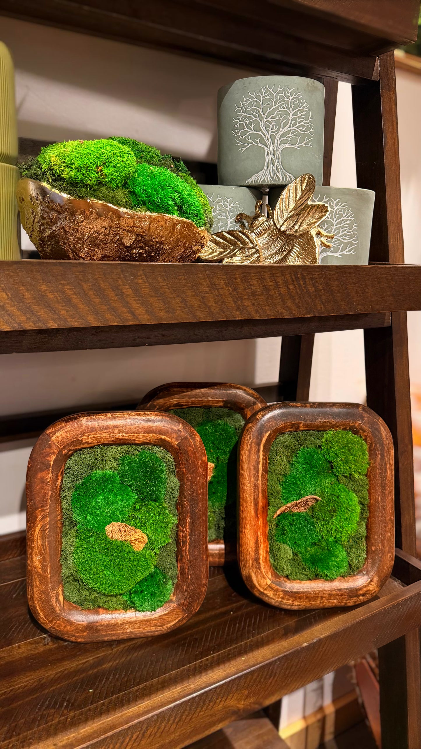 Small ‘Runder’ Moss Art