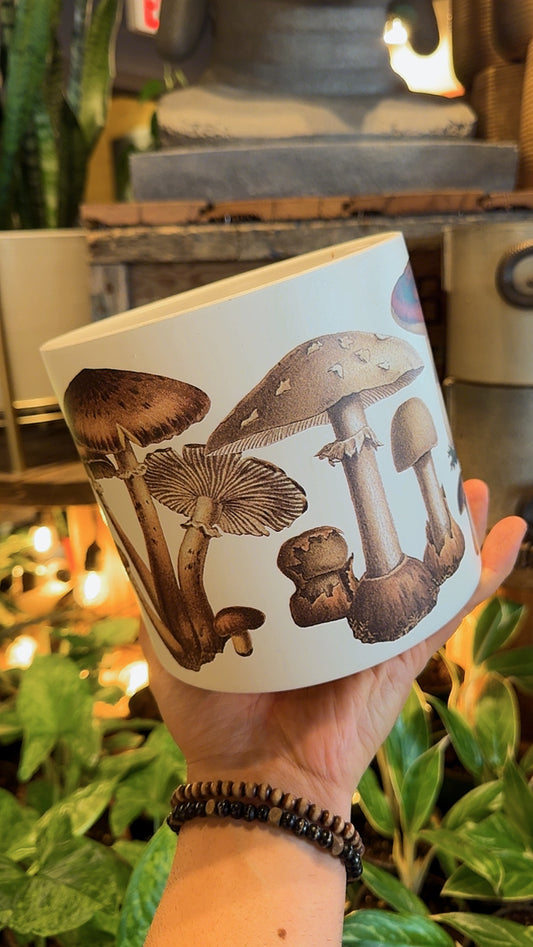 6.5” Mushroom Harvest Planter