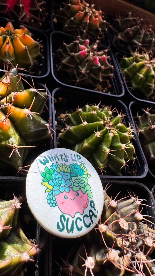 ‘What’s Up Succa’ Button