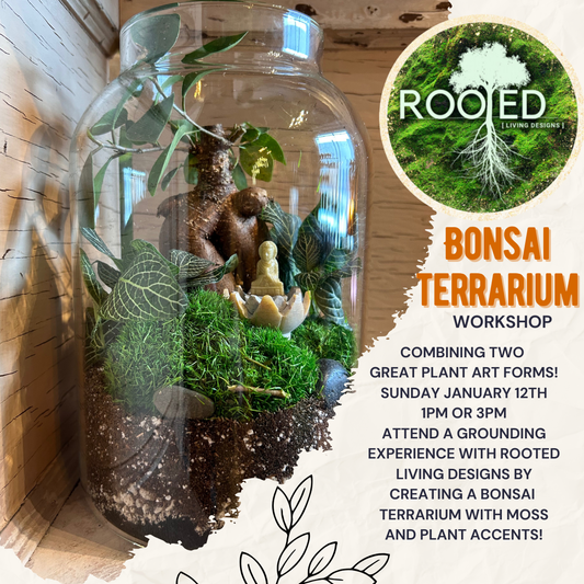 Bonsai Terrarium