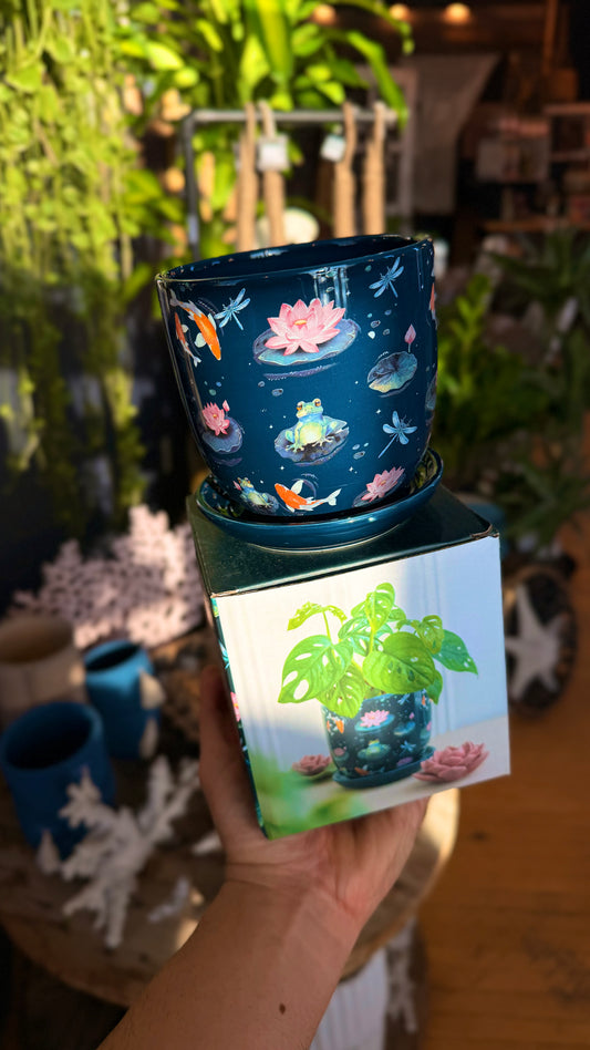 4.5” Magic Pond Planter