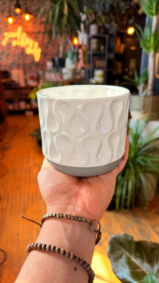 4.5” White Wave Planter