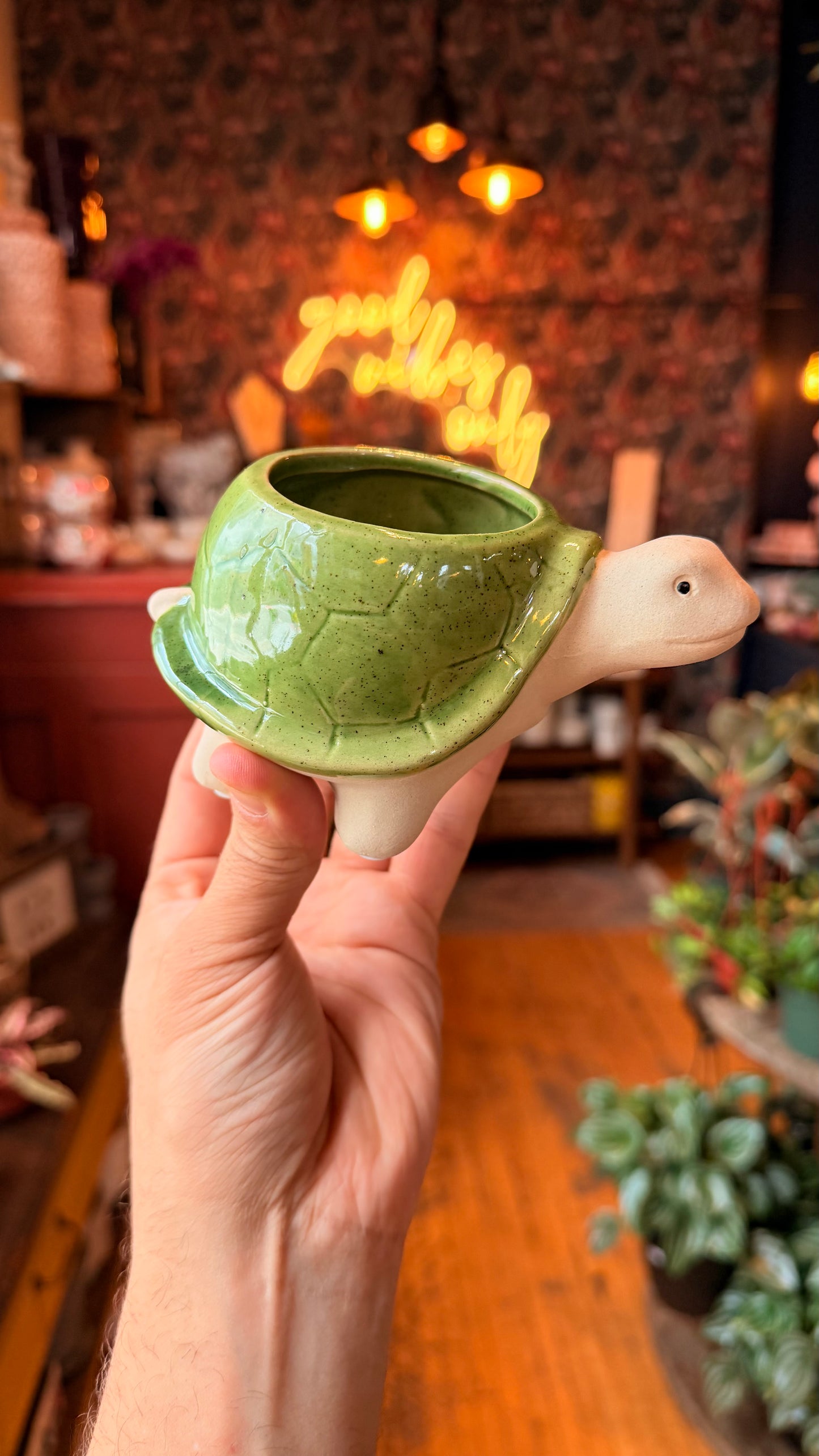 3” Blazin’ Turtle Planter