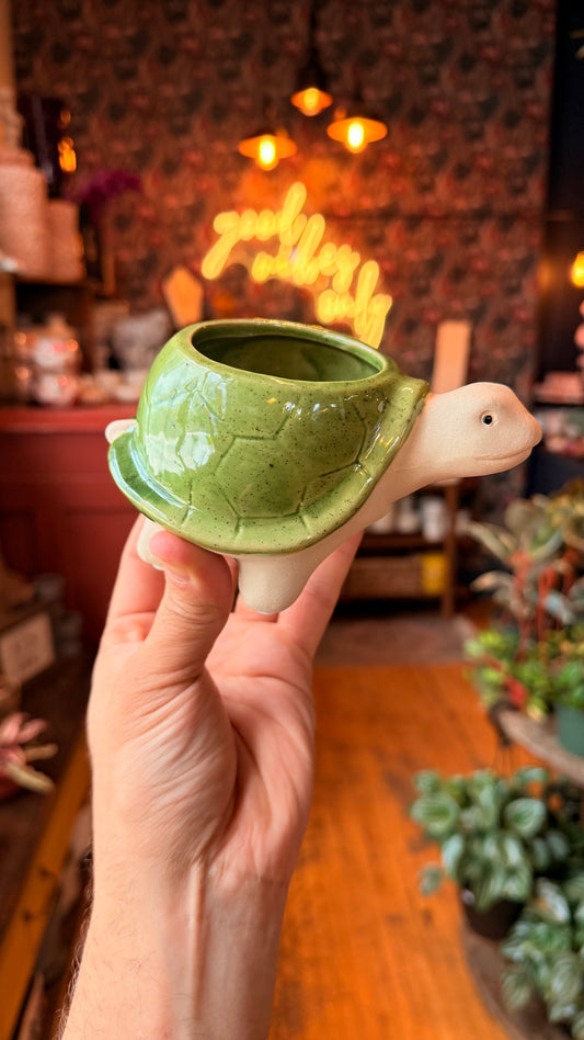 3” Blazin’ Turtle Planter