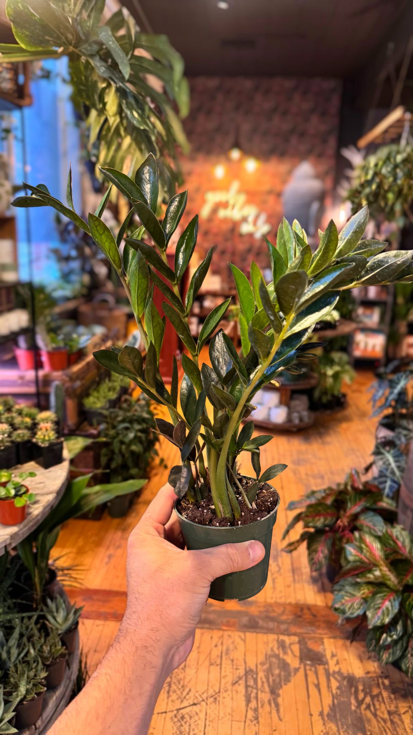 4” Zz Zamicro Black