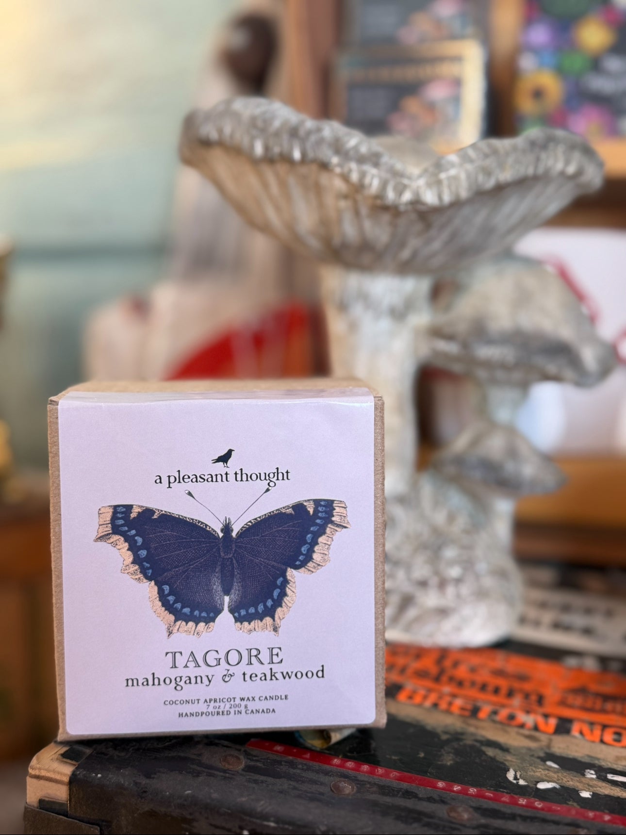 A Pleasant Thought - Tagore