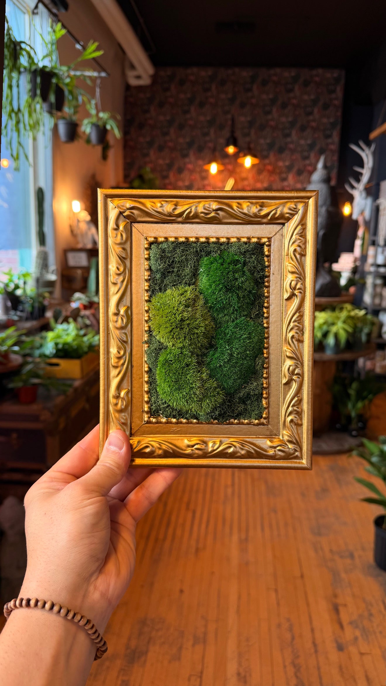 Small ‘Petrillo’ Moss Art