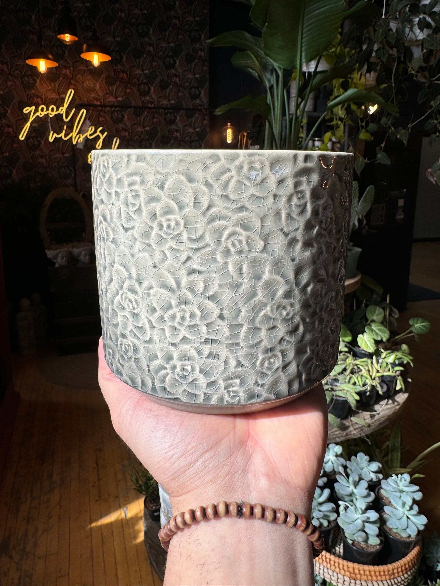 5.5” Crackled Succulent Planter