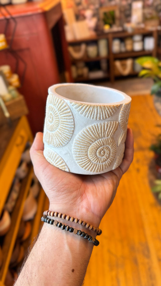 4” Nautilus Shell Planter