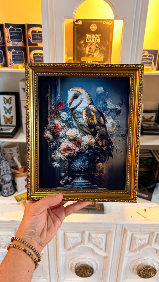 “Borne the Barn Owl” Portrait Print