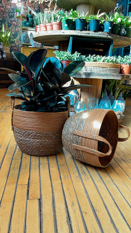 Copper Basket Collection