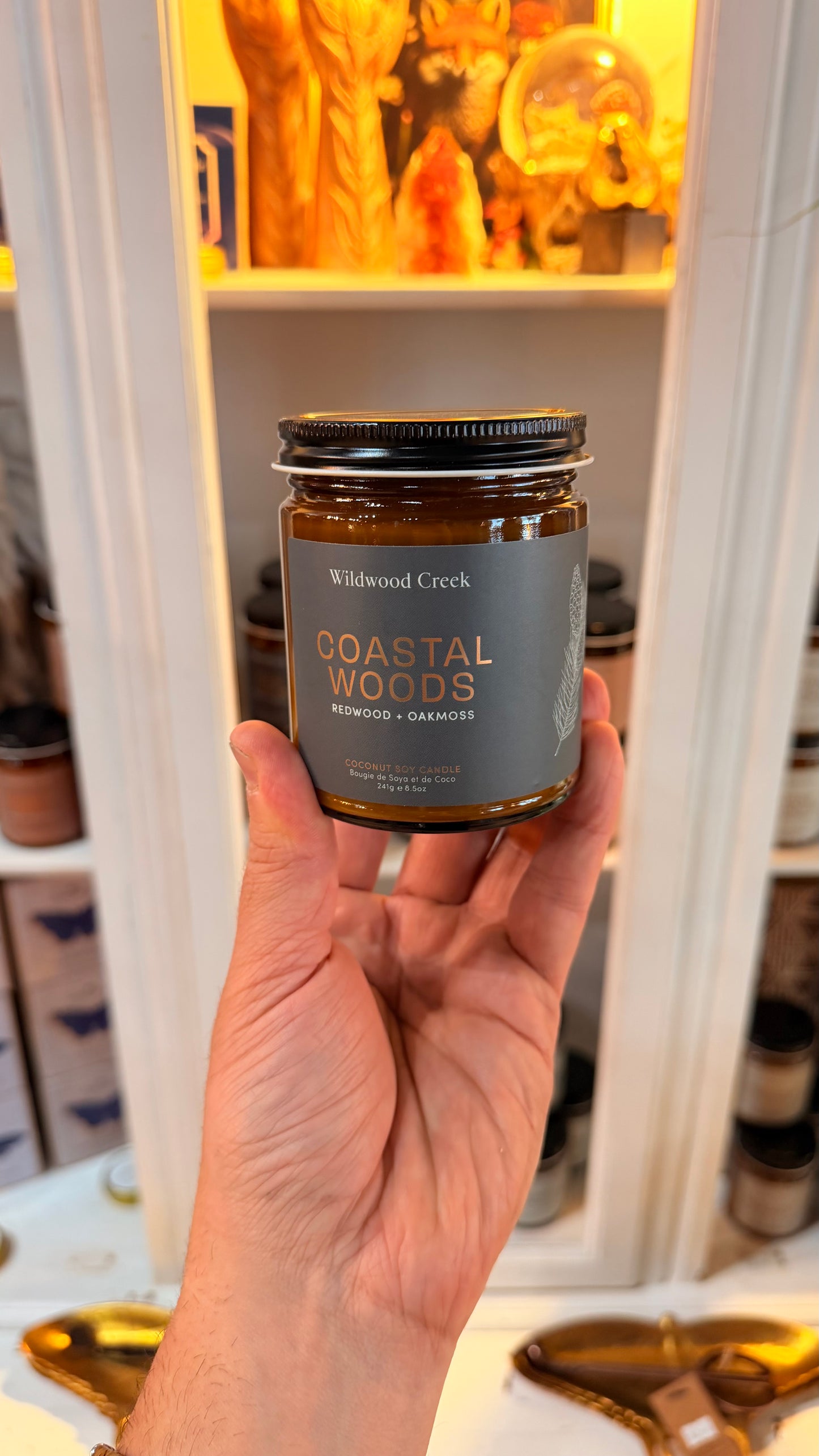 Wildwood Creek - Coastal Woods