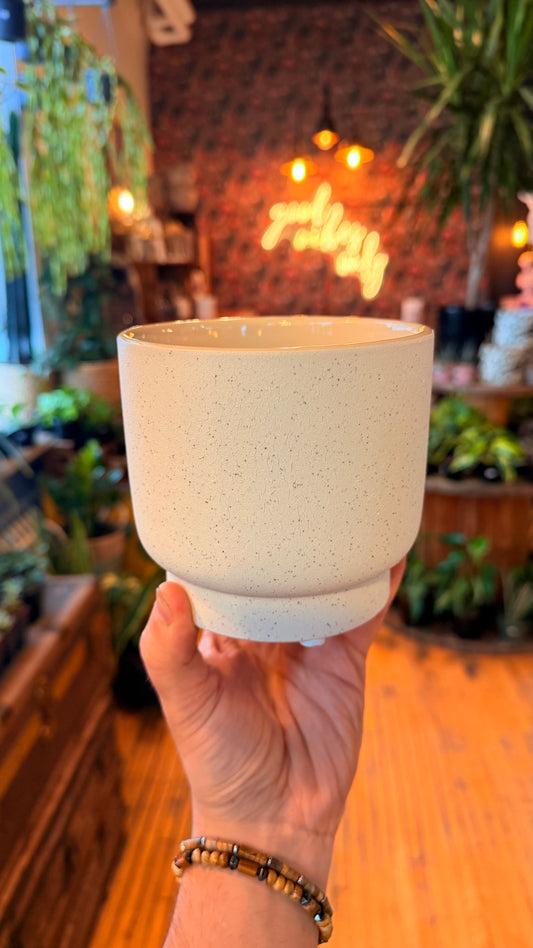 4.5” Speckled White Rutto Planter
