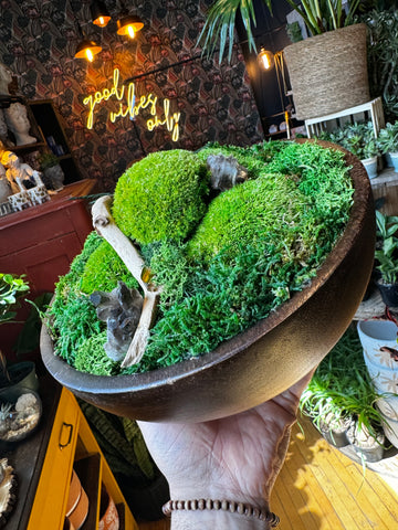 ‘Crystal Forest’ Moss Bowl