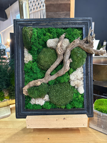 ‘Divo’ Moss Art