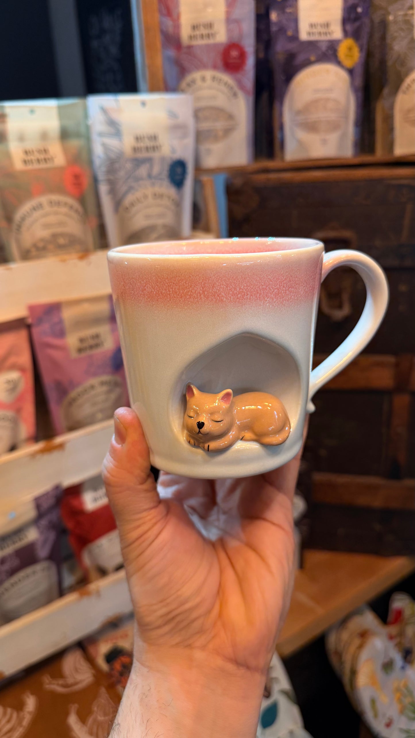 Cat Nook Mug