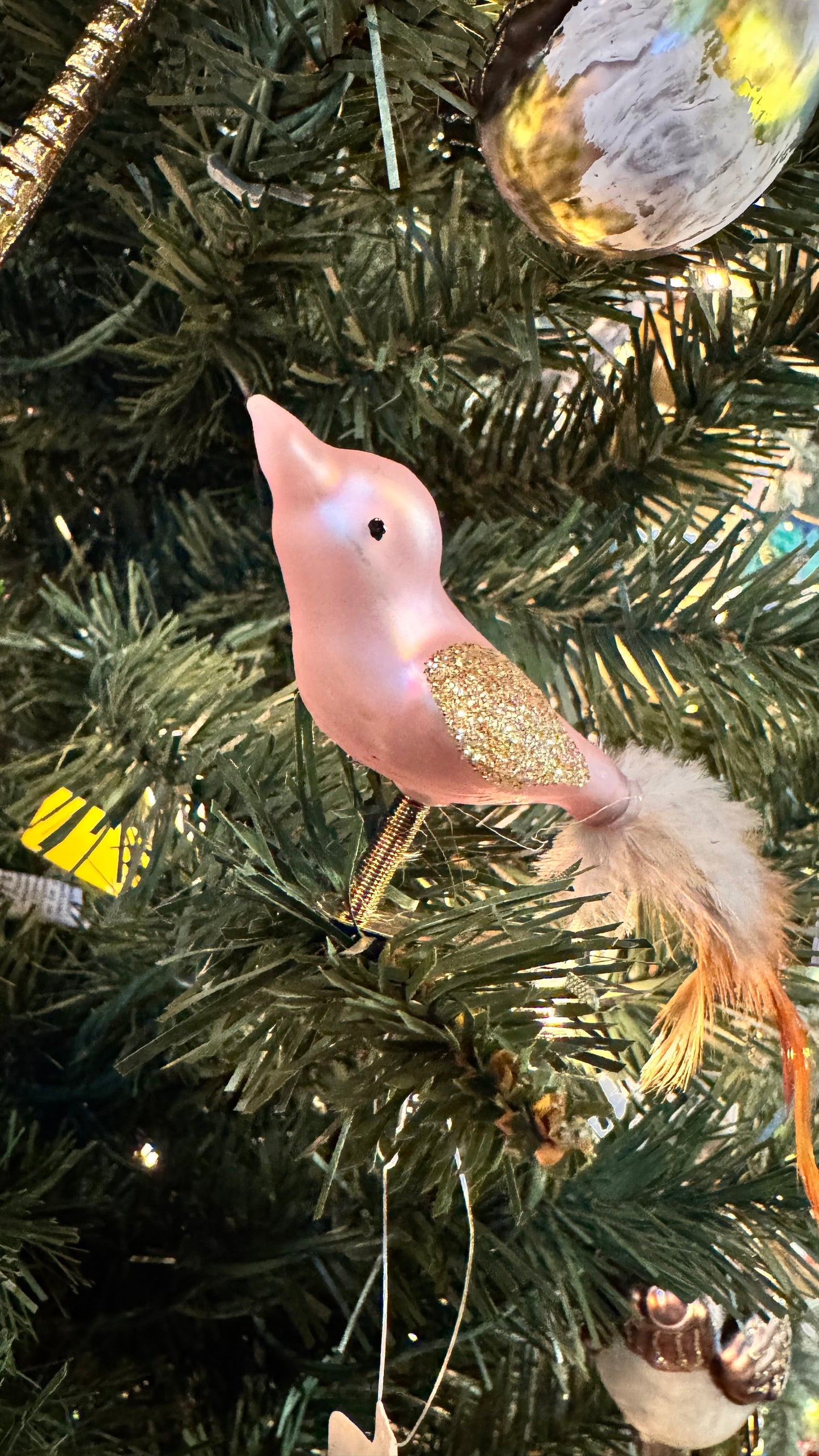 Assorted Song Bird - Clip On Christmas Ornament