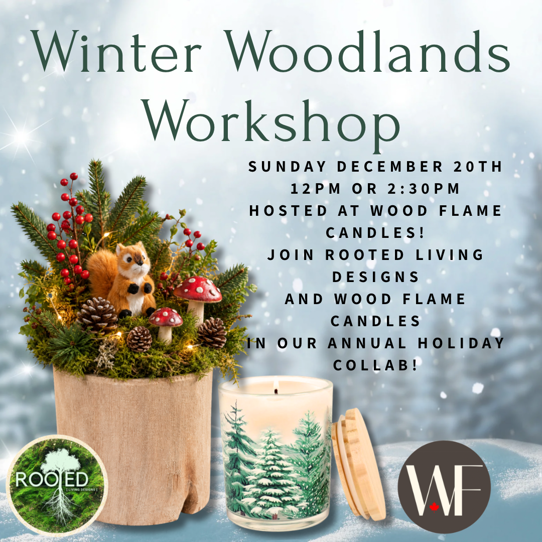 Winter Woodlands Workshop
