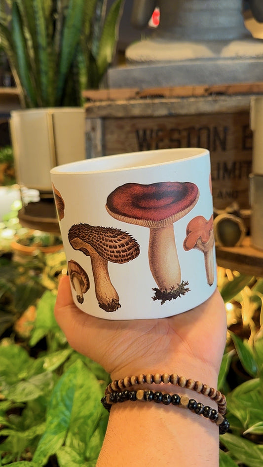 4.5” Mushroom Harvest Planter