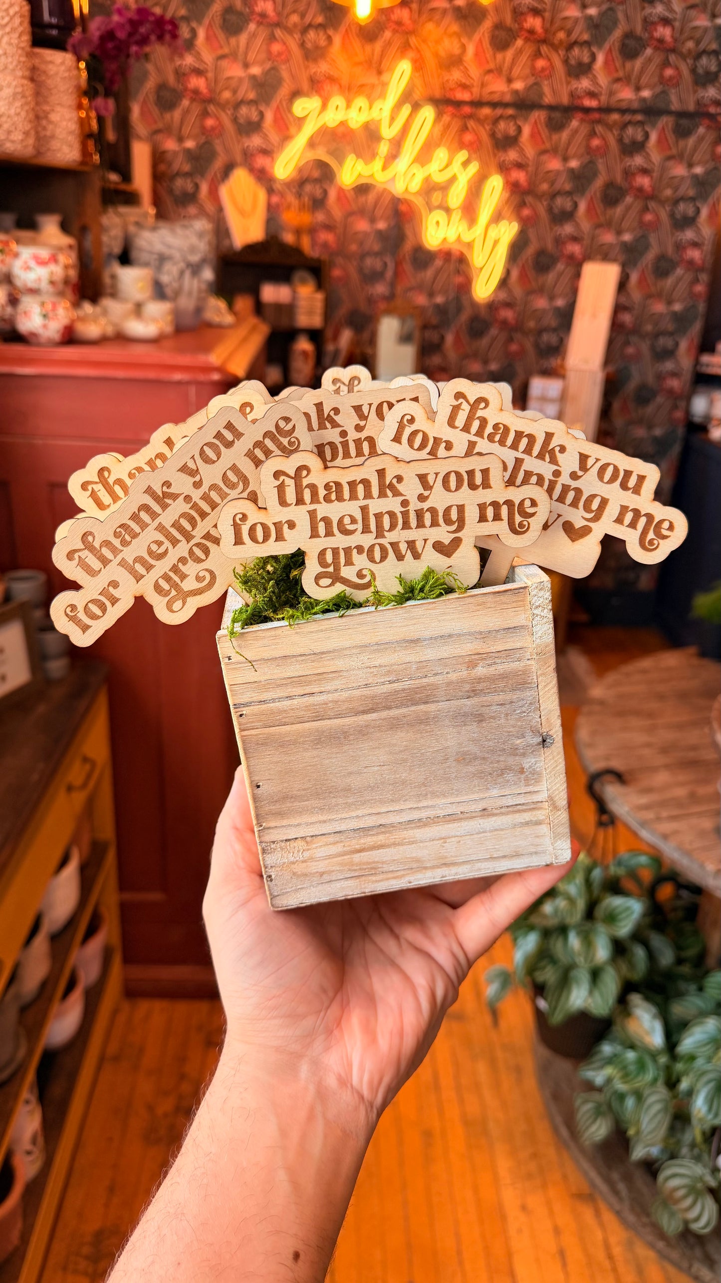 ‘Thanks for Helping me Grow’ Plant Stakes