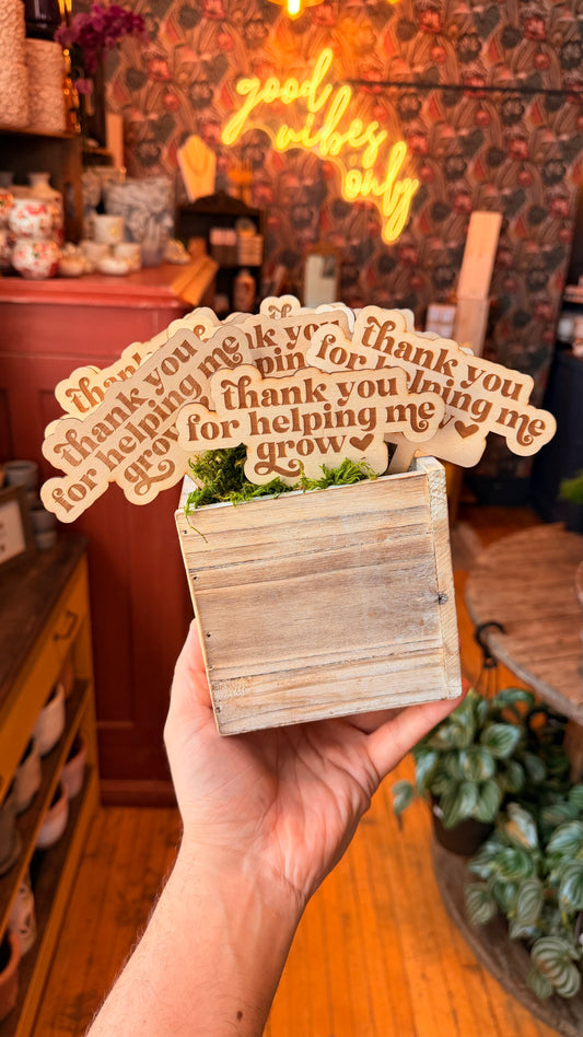 ‘Thanks for Helping me Grow’ Plant Stakes