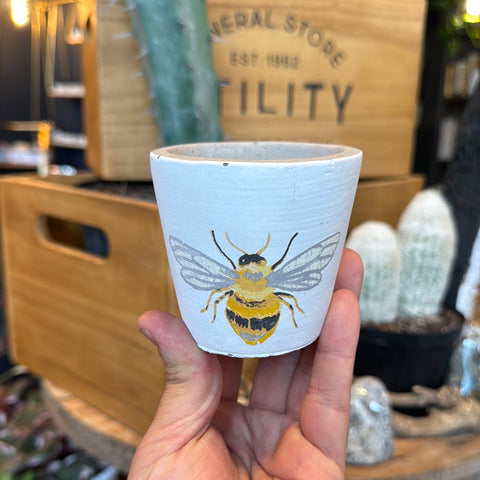 2.5” Busy Bee Planter