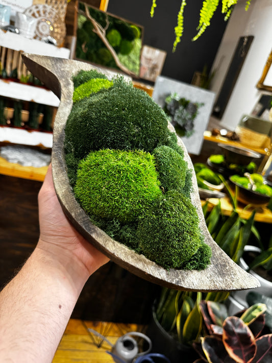 Tear Drop Coffee Table Moss Bowl