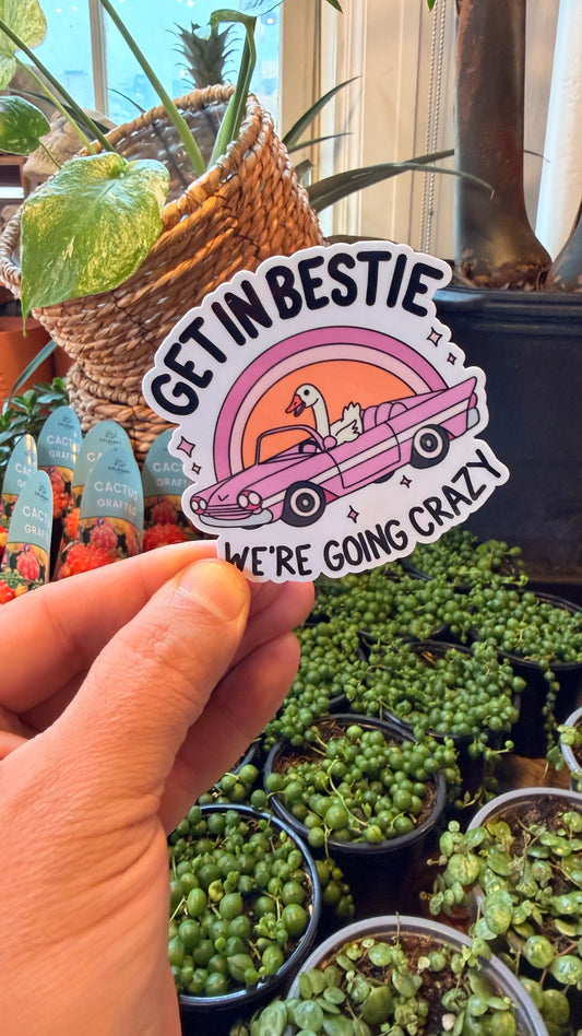 ‘Get in Bestie’ Sticker