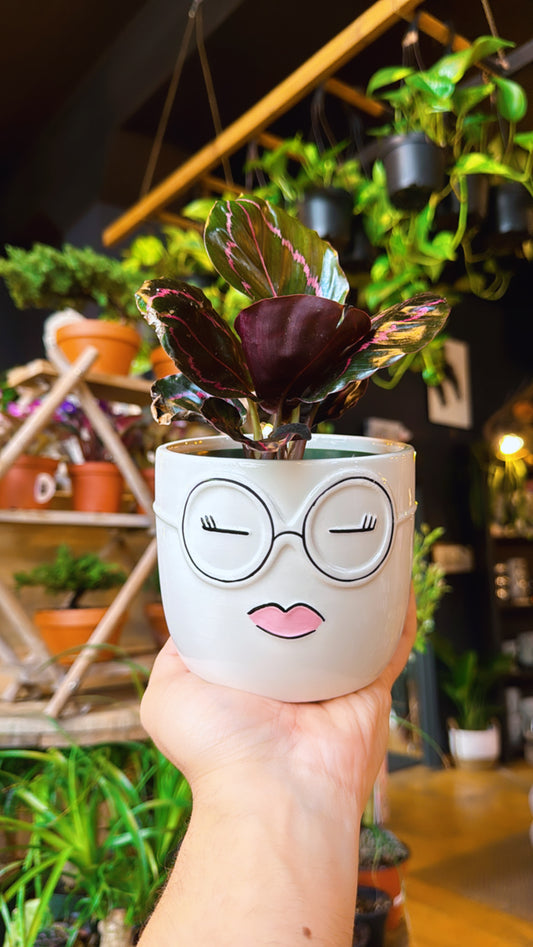 4.5” Diva Glasses Planter