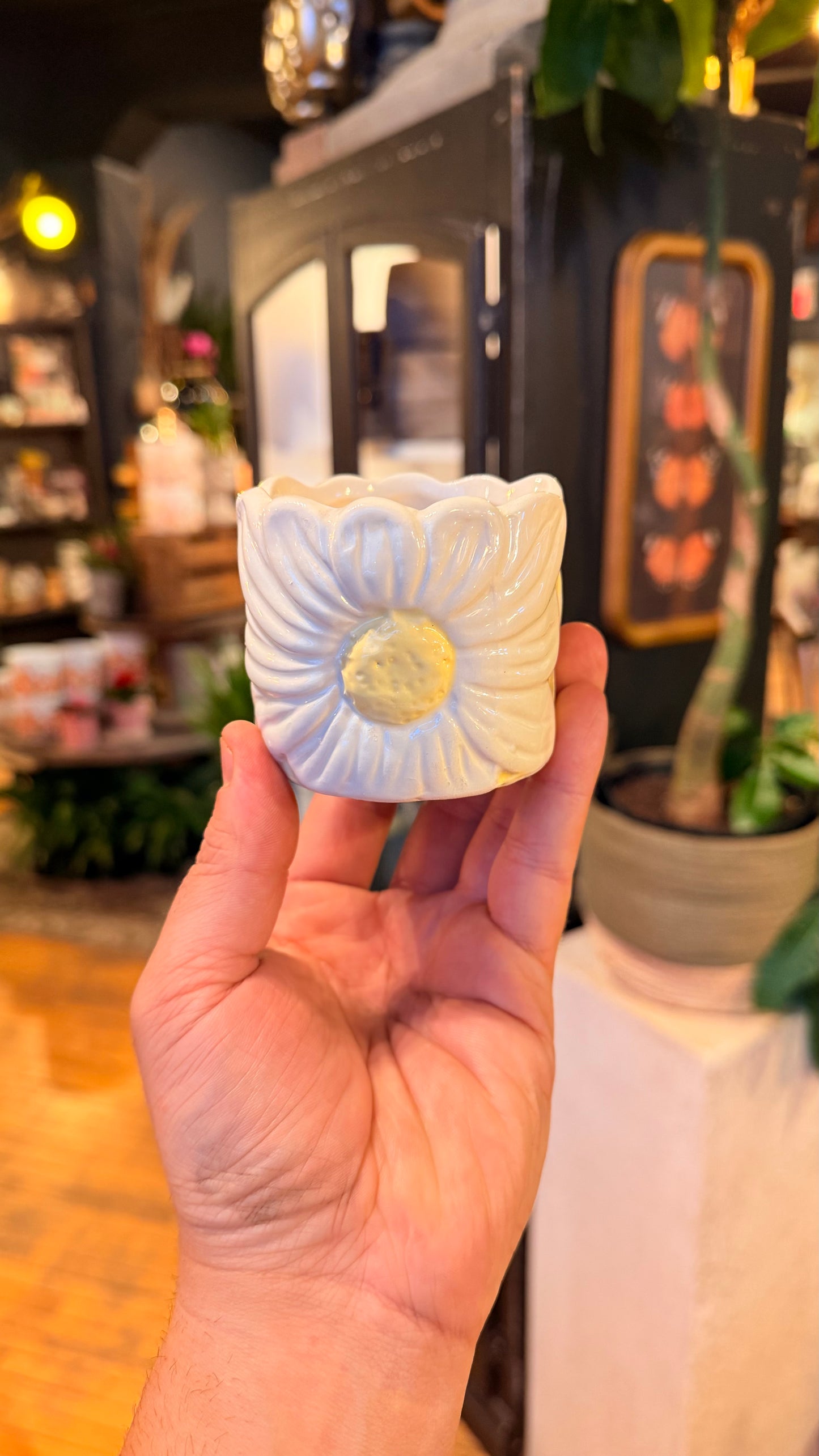 2.5” White Daisy Pot