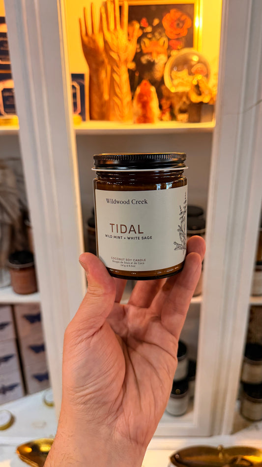 Wildwood Creek - Tidal