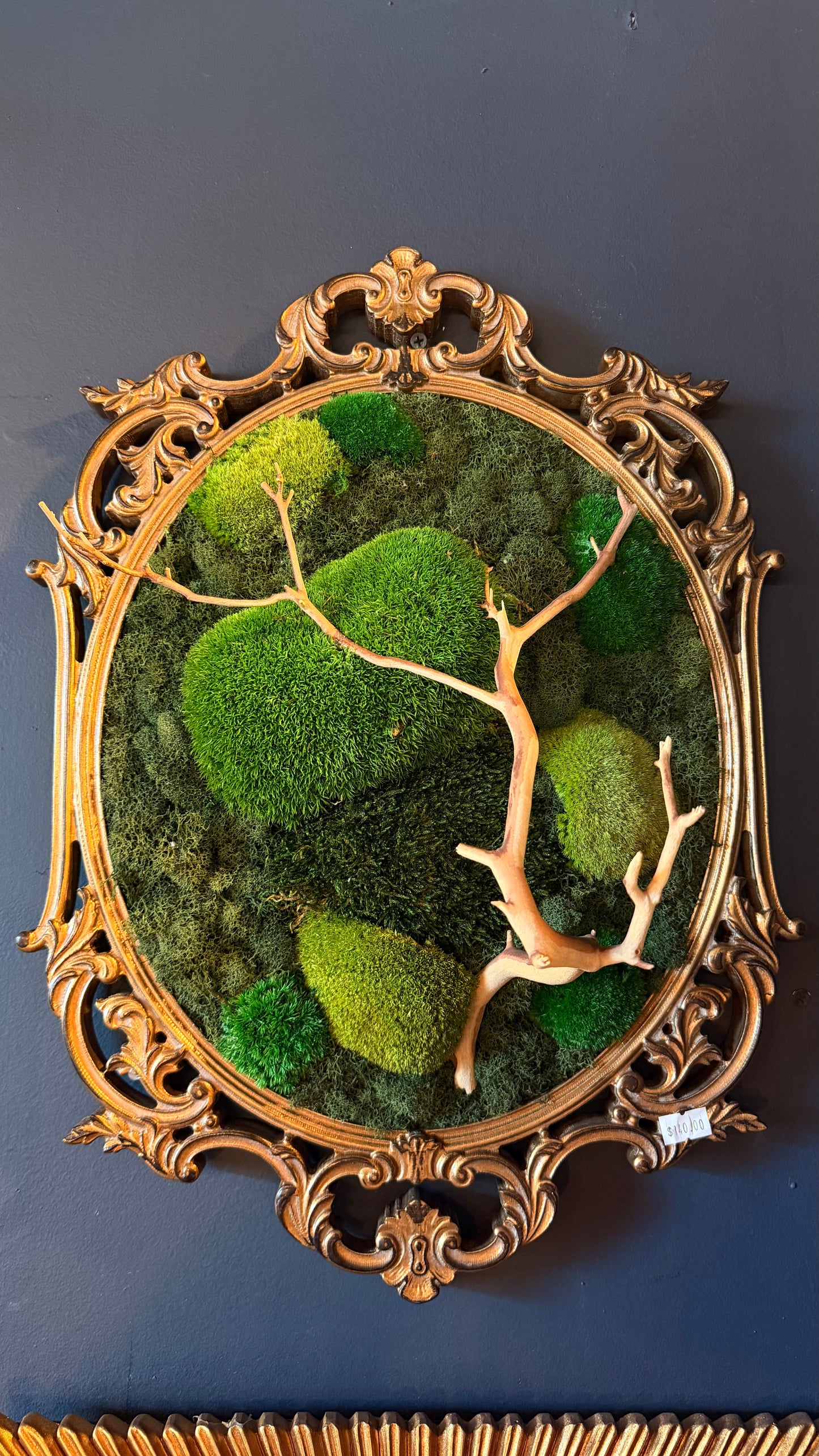 Large ‘Gigas’ Moss Art