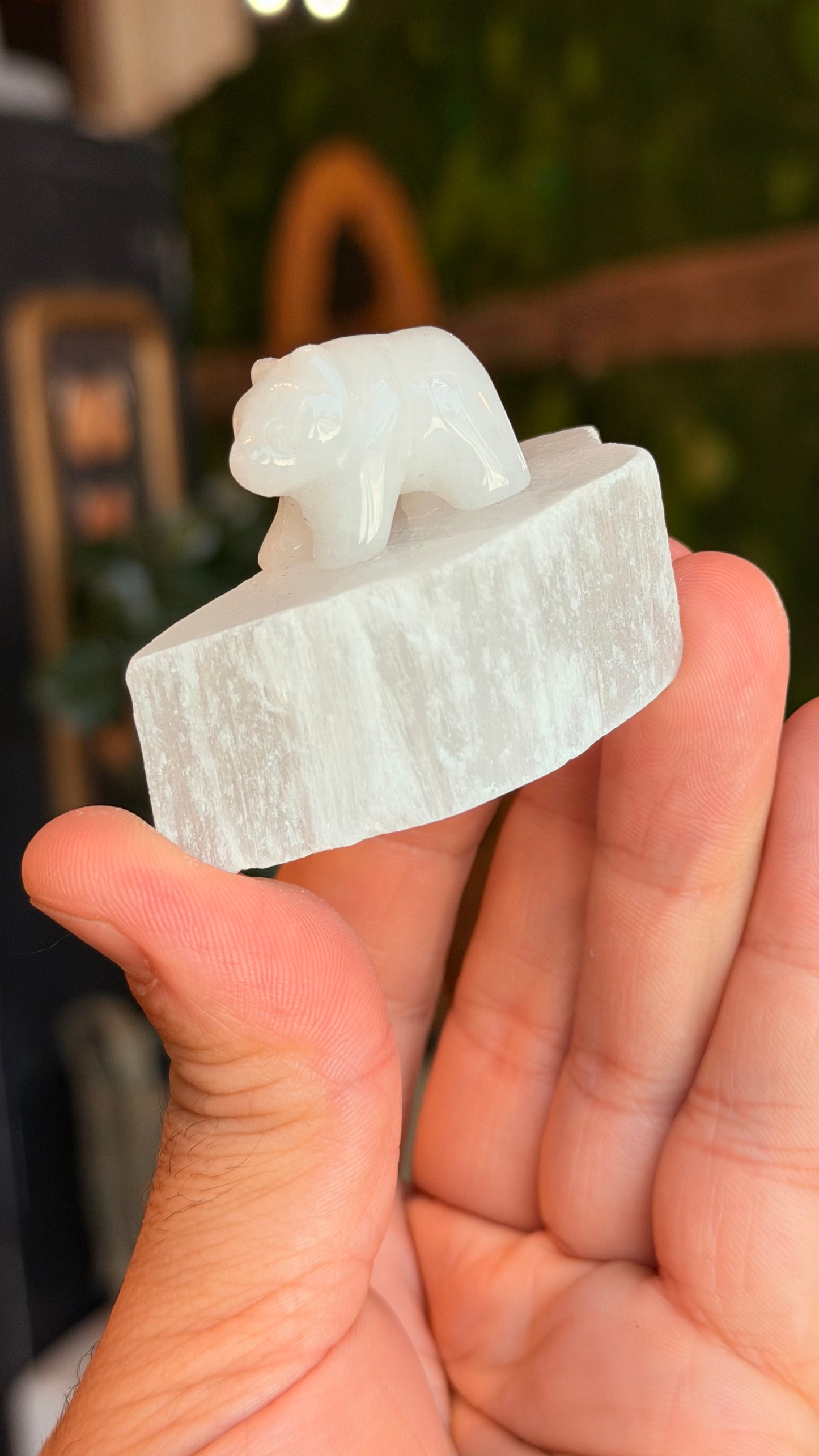 Quartz Spirit Bear on Selenite