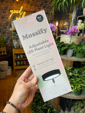 Mossify LED Grow Light - Black