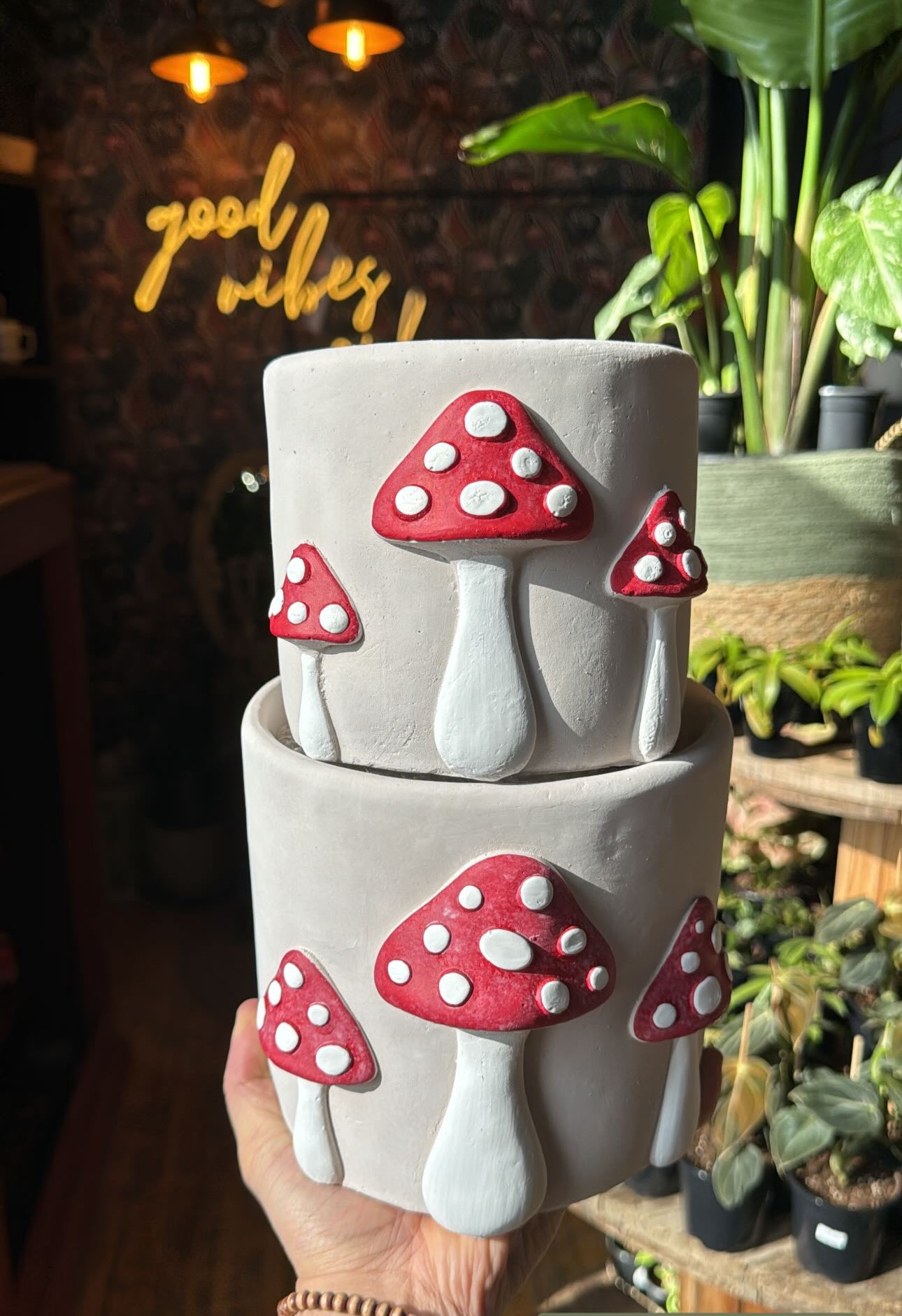 Mushroom Trio Planter